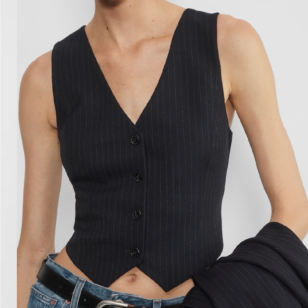 Aritzia Pacino Vest